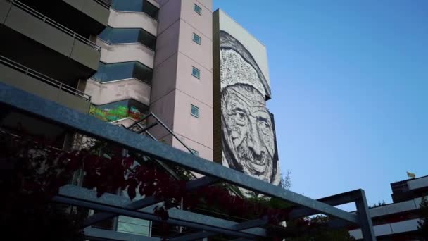 老人画在德国的一幢建筑物上 — 图库视频影像