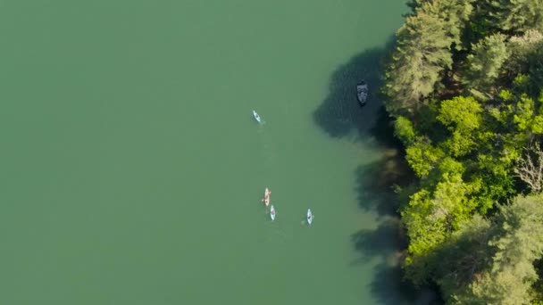 Una Vista Birdseye Persone Kayak Pesca Lago Vicino Una Foresta — Video Stock