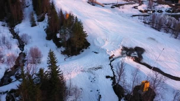 Luchtfoto Van Elanden Wandelen Besneeuwde Skipiste Tijdens Zonsondergang Voorwaarts Bewegen — Stockvideo