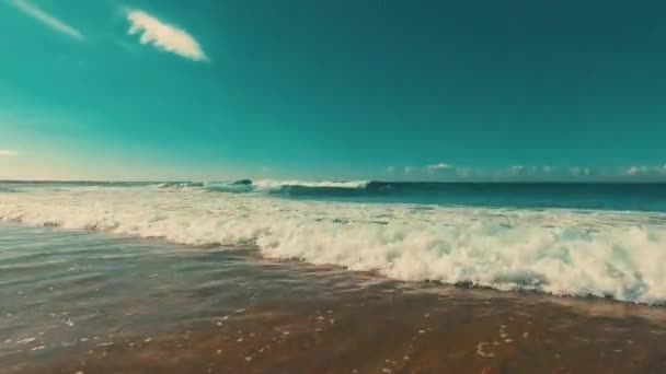 Maré Ondas Entrada North Narrabeen — Vídeo de Stock