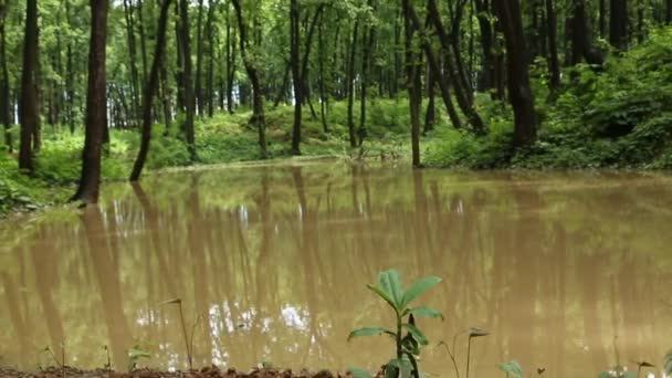 Regenwaterwinningstechniek Deze Techniek Wordt Toegepast Water Besparen Dat Door Hellingen — Stockvideo