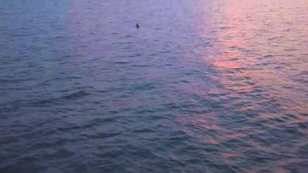 黄昏时分 一个孤独的独木舟爱好者在佛罗里达海岸外 — 图库视频影像