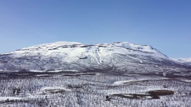 雪の山の空中ビュー 山の真ん中に見える木のライン 青い空だ 前へ進む — ストック動画