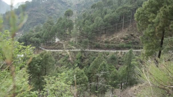 Nimの訓練生 トレッカー ジャングルを通過し トレイルに向かっています ネルー登山研究所は インド ヒマラヤ北部 ウッタラーカンド州で最も優れた登山機関の1つと評価されています — ストック動画