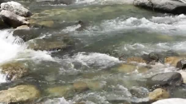 Protékající Hornatá Svatá Řeka Ganges Ganga Lano Záchrana Děje Horních — Stock video