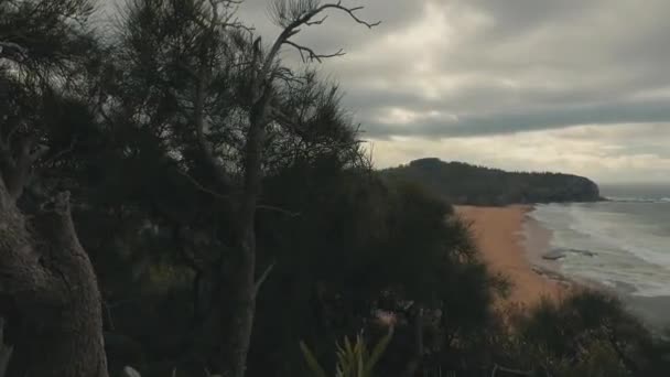 Vista General Turramurra Beach Warriewood — Vídeos de Stock