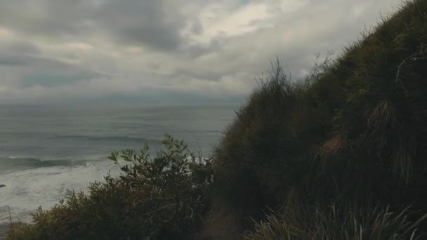 Visão Geral Turramurra Beach Warriewood — Vídeo de Stock