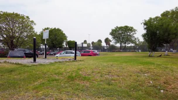 Parque Estacionamento Parque Industrial Com Grandes Áreas Grama Verde — Vídeo de Stock