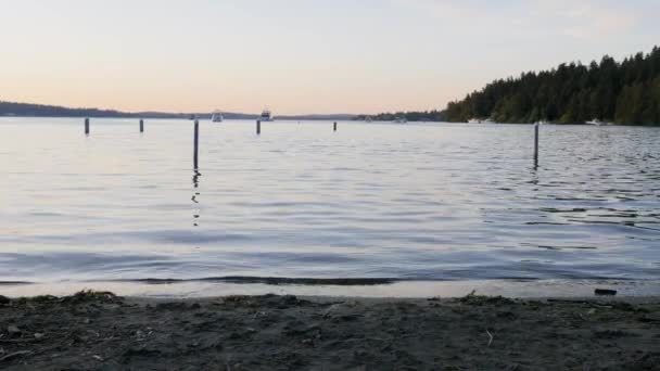 Gün Batımında Seattle Daki Seward Park Gölü Kıyısında Kamerasıyla Çekilmiş — Stok video