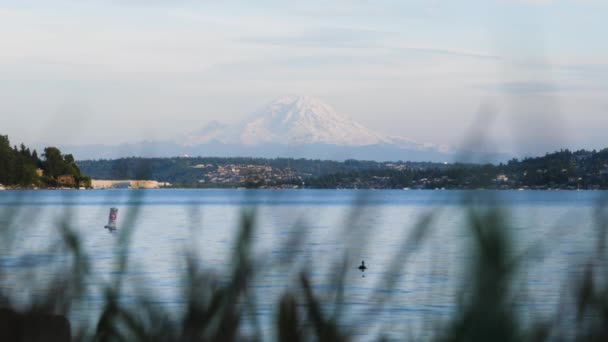 Disparo Estático Través Del Lago Washington Hasta Rainier Seward Park — Vídeo de stock