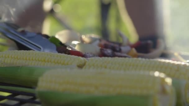 Girare Gli Spiedini Barbecue Con Verdure Primo Piano — Video Stock