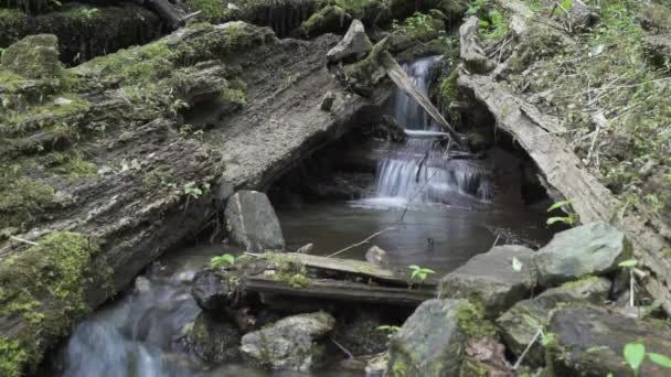 Cachoeira Natural Himalaia Belo Tiro Cachoeira Natural Entre Colinas Florestas — Vídeo de Stock