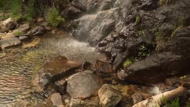 포르투갈의 마데이라 물줄기 — 비디오