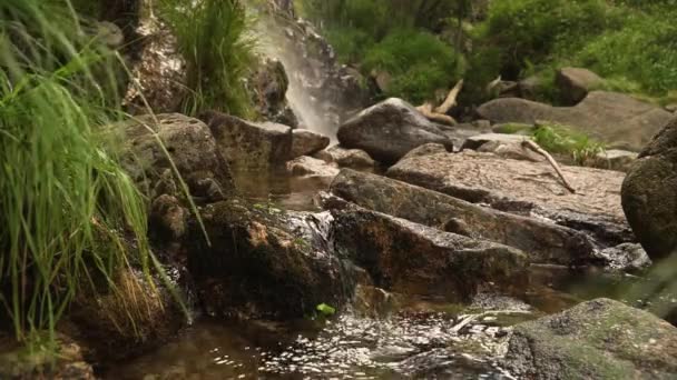 Calm Water Stream Ponta Sol Madeira Island Portugal — Stock Video