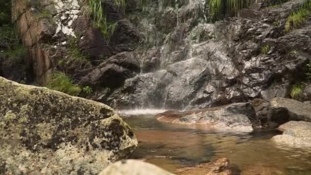 Спокійна Течія Води Понта Сол Острів Мадейра Португалія — стокове відео