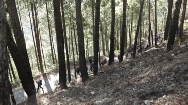 Nim Trainees Auf Dem Weg Zum Trail Vorbei Himalaya Roads — Stockvideo