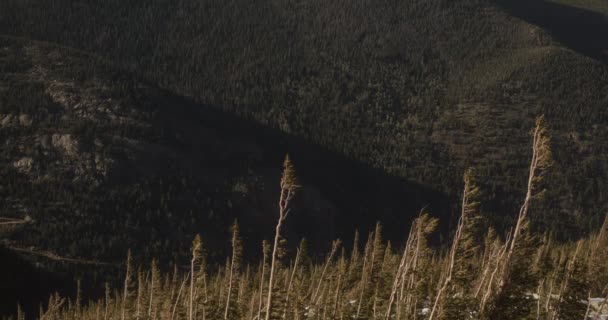 Дерева Схилах Гір Національному Парку Скеляста Гора Під Час Заходу — стокове відео
