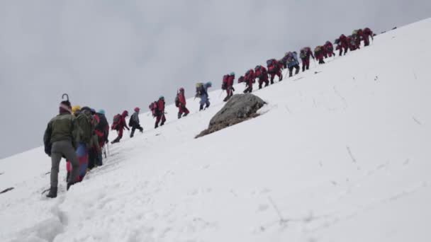 Himalaia Montanhista Escalando Uma Montanha Gelo Himalaia Superior Uttarakhand Índia — Vídeo de Stock