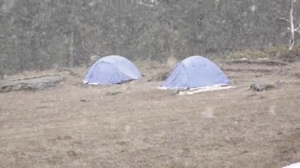 Schneefall Himalaya Schöne Szene Des Schneefalls Himalaya Hintergrund Wurde Ein — Stockvideo