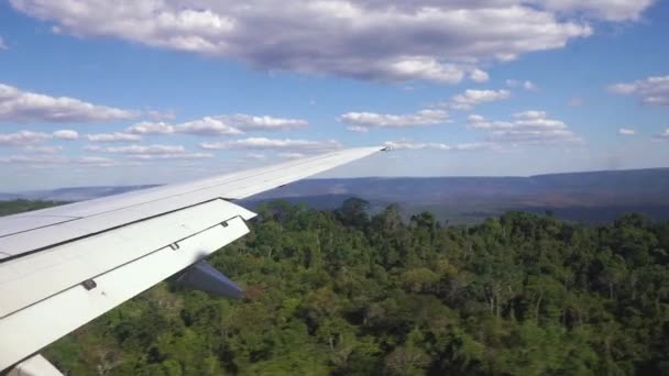 Vue Fenêtre Sur Jungle Amazonienne Brésilien — Video