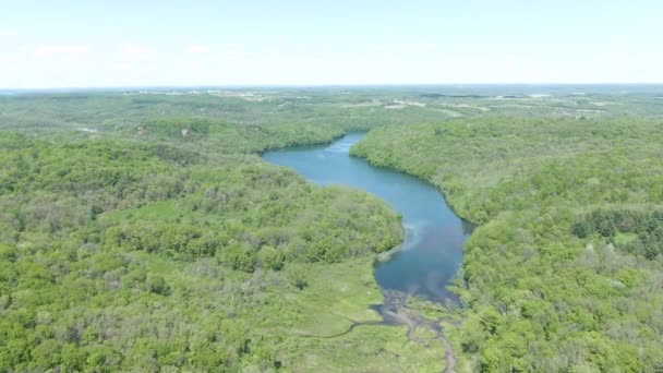 Ligeramente Inclinación Hacia Abajo Lago Medio Denso Paisaje Forestal Las — Vídeos de Stock