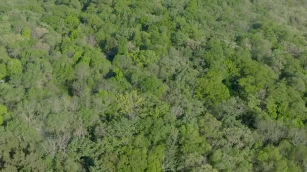 Воздух Густо Покрытых Лесов Горах Висконсина Сша — стоковое видео