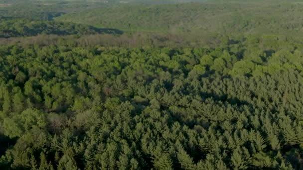 Pomalu Stoupající Náklon Vzduchu Hustého Lesa Pokryté Kopce Wisconsinu Během — Stock video