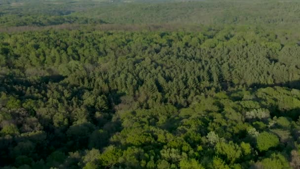 Aerial Dense Forest Mountains Wisconsin Dusk Warm Humid Summer Afternoon — Stock Video