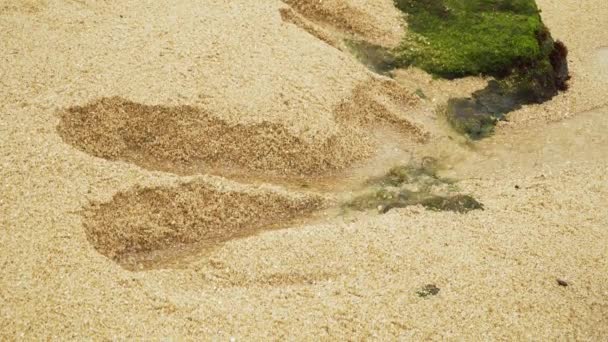 Areia Água Esculpir Uma Pequena Trincheira Através Superfície Duna Angeiras — Vídeo de Stock