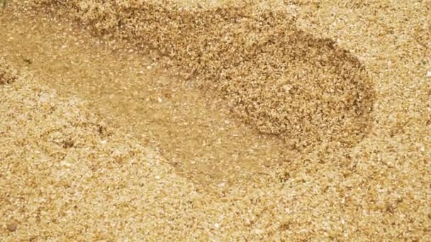 Sabbia Acqua Scavare Una Piccola Trincea Attraverso Superficie Delle Dune — Video Stock