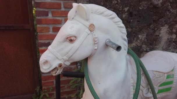 Echt Eng Hout Paard Mama Achtertuin Cuernavaca Morelos Mexico — Stockvideo