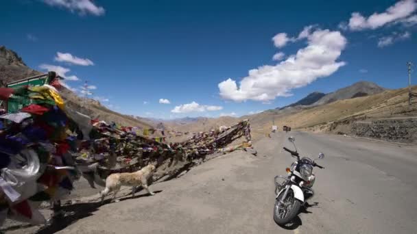 Собака Рухається Нормальною Швидкістю Перед Вітряними Молитовними Прапорами Мотоциклом Високих — стокове відео