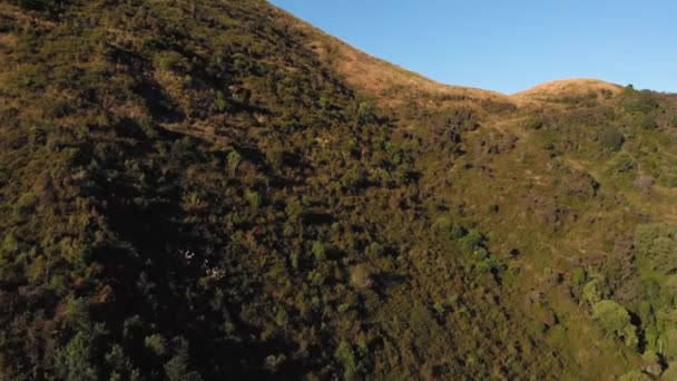 Drone Aérien Volant Lentement Vers Dessus Une Grande Colline Verte — Video