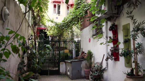 Χαριτωμένο Σπίτι Φυτά Στους Δρόμους Της Κωνσταντινούπολης — Αρχείο Βίντεο