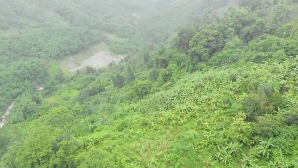 鳥の目はバナナの木 タミー マニプール インドの完全な谷を撮影 — ストック動画