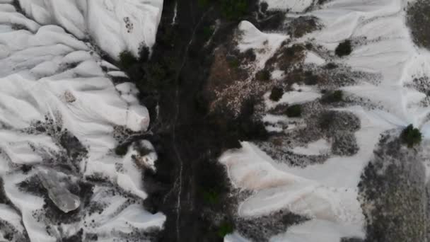 Беспилотник Следует Сверху Зелеными Полосками Деревьев Середине Белых Холмов Долине — стоковое видео
