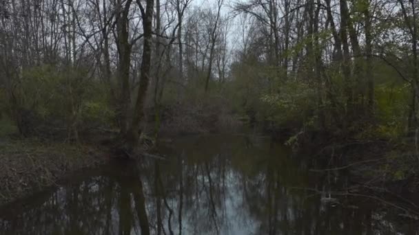 Långsamt Rörlig Dolly Skott Slingrande Flod Mitt Mörk Skog Cognac — Stockvideo