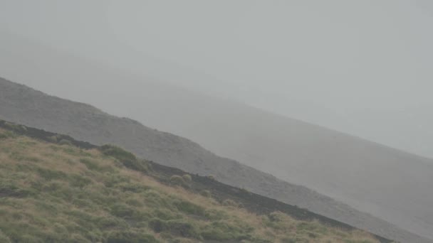 Volcanic Hillside Foggy Day — Stock Video