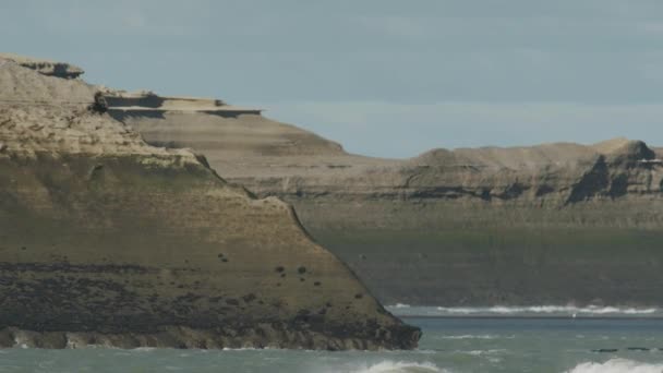 Scogliere Sull Oceano Patagonia — Video Stock