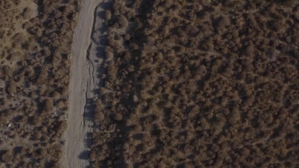 Cima Para Baixo Empurrar Alguma Escova Deserto Durante Pôr Sol — Vídeo de Stock