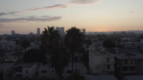 Lovely Aerial Pan Palm Trees Sunset Los Angeles — Stock Video