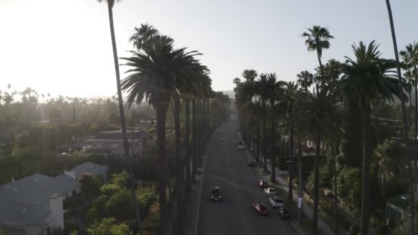 Schöne Luftaufnahme Von Beverly Hills Palmen Bei Sonnenuntergang — Stockvideo