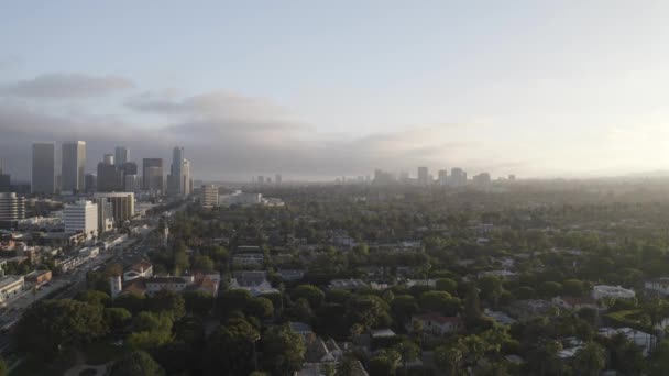 Wonderful Aerial Shot Beverly Hills Palm Trees Downtown Sunset — Stock Video