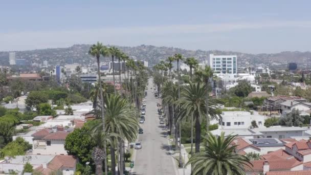 Rastreamento Aéreo Lindo Palmeiras Uma Rua Beverly Hills — Vídeo de Stock