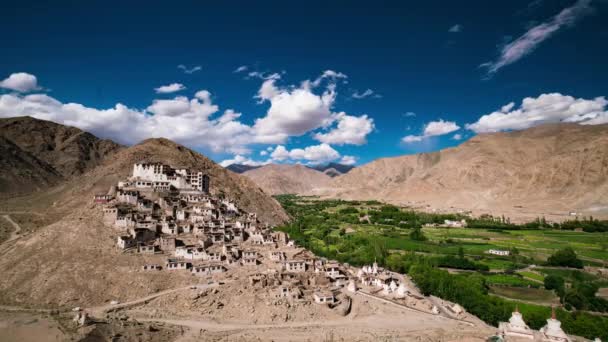 Chemdey Gompa Surplombant Vallée Himalaya Avec Une Croissance Verte Luxuriante — Video