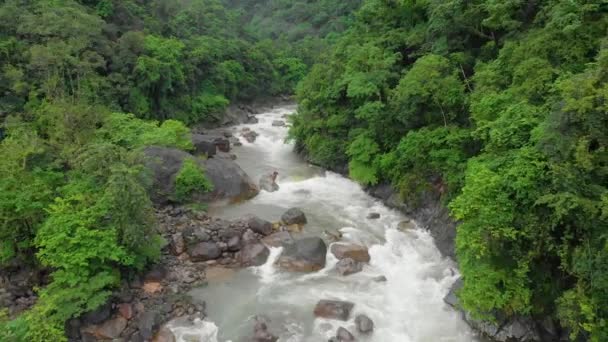 Vuelo Aéreo Hacia Atrás Revela Disparo Puente Colgante Los Bosques — Vídeos de Stock