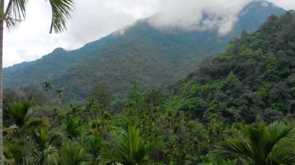 通过棕榈树 Tyrna Meghalaya被云彩覆盖的高山的空中显影 — 图库视频影像