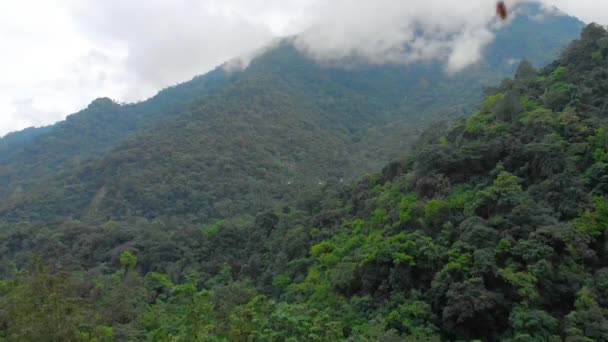 空中视差显示 在棕榈树 Tyrna Meghalaya等地 从被云彩覆盖的山上向后飞去 — 图库视频影像
