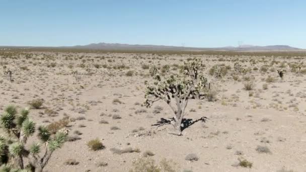 Vol Basse Altitude Dessus Désert Mojave Près Autoroute Californie États — Video