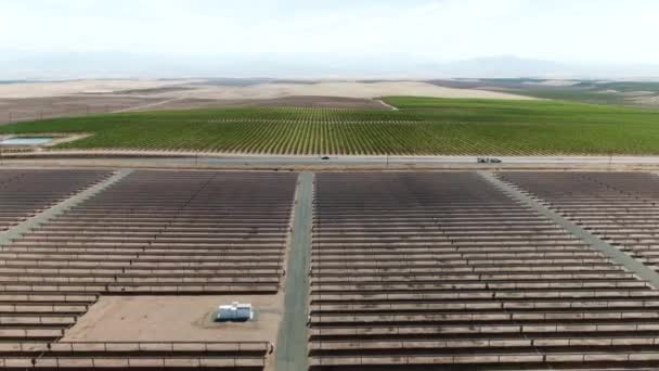 Vysoká Výška Vpřed Pohybující Vzduchem Přes Pole Solárních Panelů Výhledem — Stock video